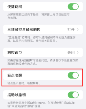 谯城苹果授权维修站分享iPhone轻点无法唤醒怎么办