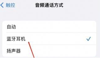 谯城苹果蓝牙维修店分享iPhone设置蓝牙设备接听电话方法