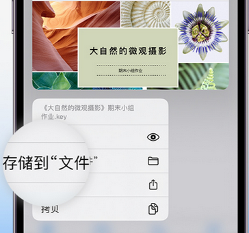 谯城apple维修中心分享iPhone文件应用中存储和找到下载文件