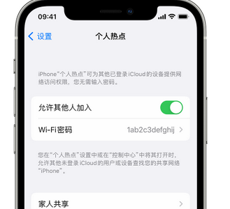 谯城apple服务站点分享iPhone上个人热点丢失了怎么办 