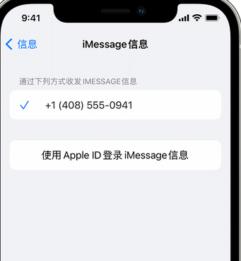 谯城apple维修iPhone上无法正常发送iMessage信息