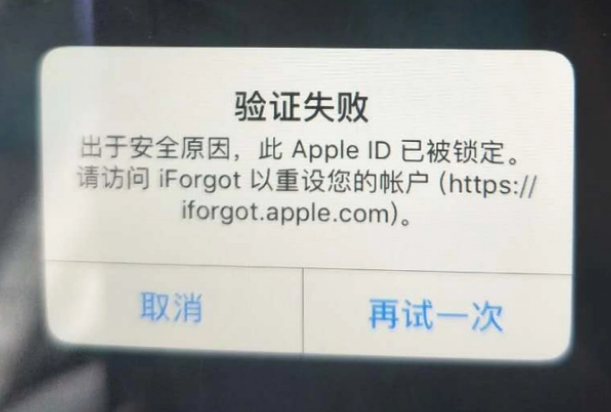 谯城iPhone维修分享iPhone上正常登录或使用AppleID怎么办 