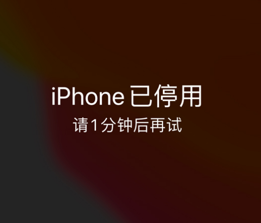 谯城苹果手机维修分享:iPhone 显示“不可用”或“已停用”怎么办？还能保留数据吗？ 