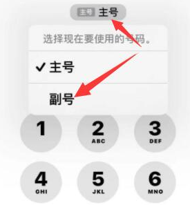 谯城苹果14维修店分享iPhone 14 Pro Max使用副卡打电话的方法 