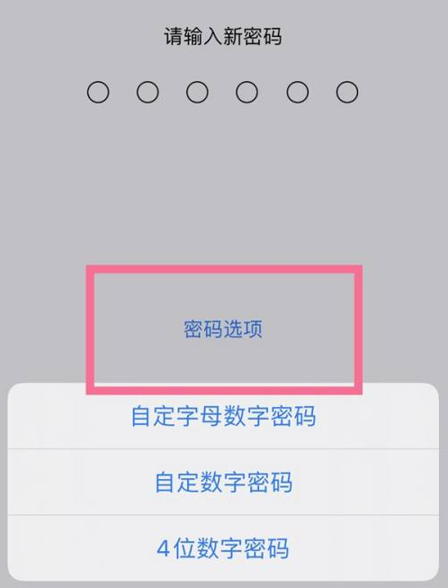 谯城苹果14维修分享iPhone 14plus设置密码的方法 