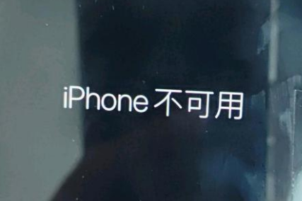 谯城苹果服务网点分享锁屏界面显示“iPhone 不可用”如何解决 