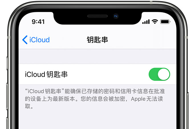 谯城苹果手机维修分享在 iPhone 上开启 iCloud 钥匙串之后会储存哪些信息 