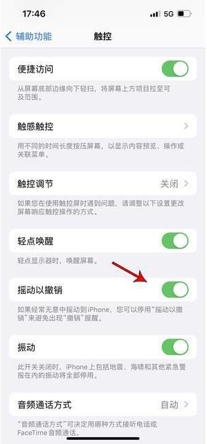 谯城苹果手机维修分享iPhone手机如何设置摇一摇删除文字 